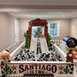 8x12 Luxury Ball Pit - Starting at $425